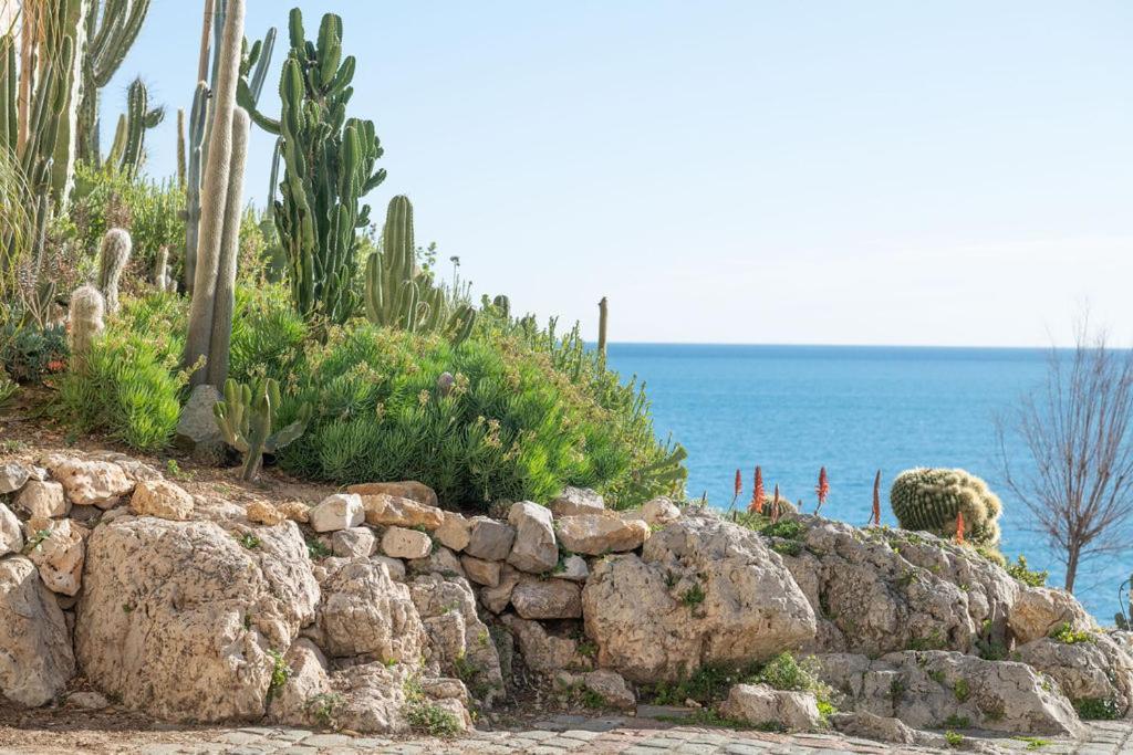 La Pablita, Vieil Antibes, Remparts Apartment Екстериор снимка